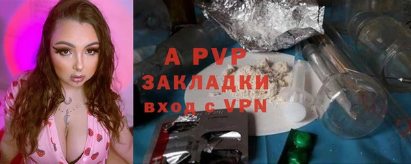 шишки Беломорск
