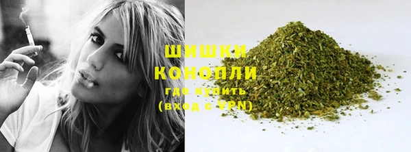 прущие грибы Богородск