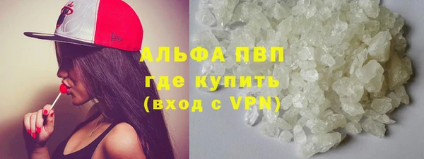 прущие грибы Богородск