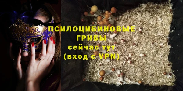 амф Богородицк
