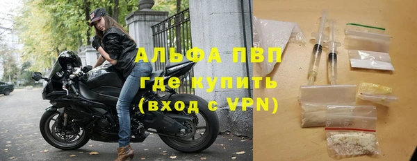 шишки Беломорск