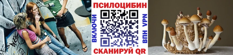 Псилоцибиновые грибы GOLDEN TEACHER  Красноуфимск 